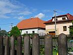 Třibřichy